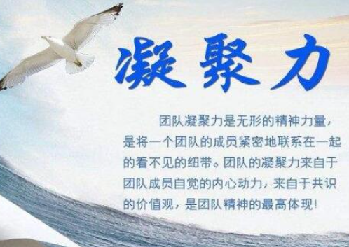 团队凝聚力