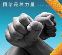 团队建设有哪些好处可以培养什么